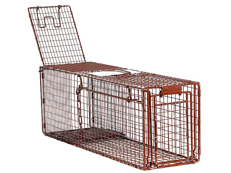 Wild Dog Cage Traps - Professional Trapping Supplies