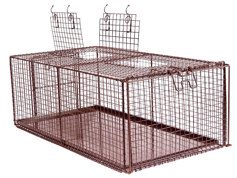 Feral Cat Recovery Cage (FCRC)