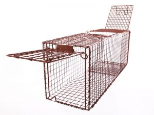 Catchmaster Small Critter 18 Live Trap