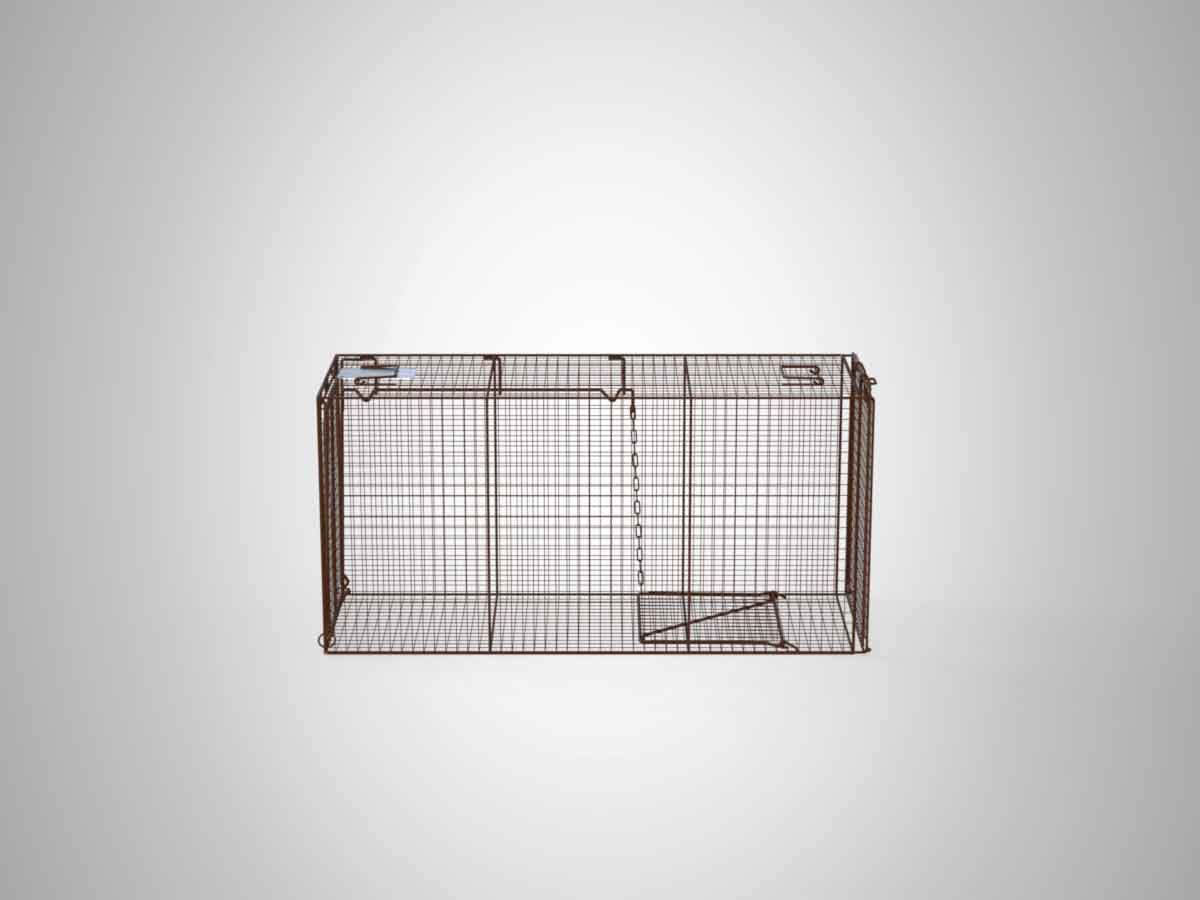 coyote trap, coyote traps, coyote cage, coyote cages, coyote