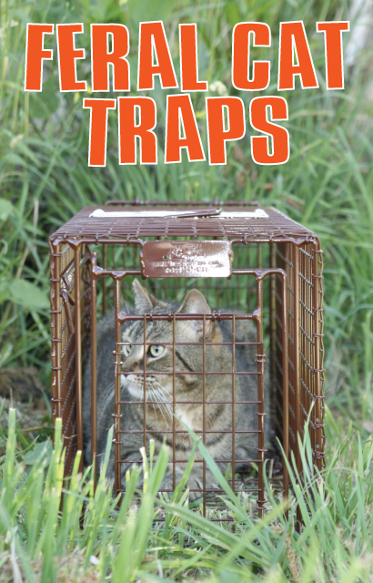 Tru Catch 30FCD Fat Cat Humane Live Animal Trap - Easy & Safe Catch &  Release Animal Trap for Cats, Rabbits, & Other Small Animals - Durable &  Humane
