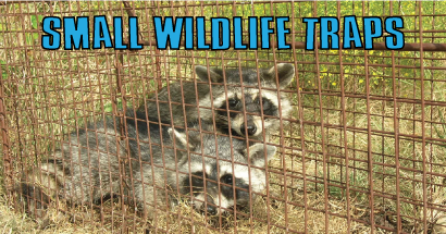 Small Wildlife Traps