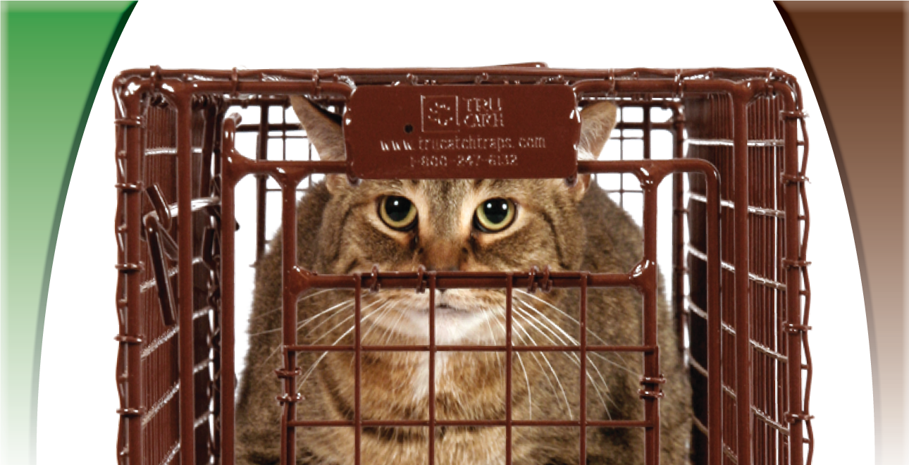 30FCD - Fat Cat Animal Trap